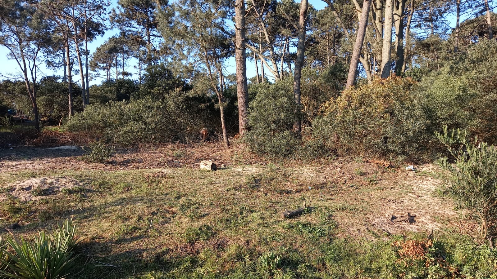 Terreno de 743 m2 en Barrio Parque